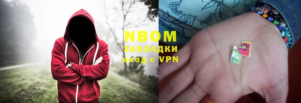 дурь Каменка
