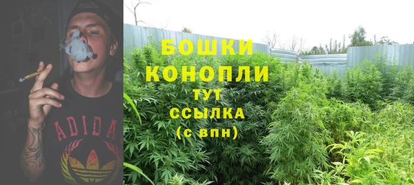 стафф Каменногорск