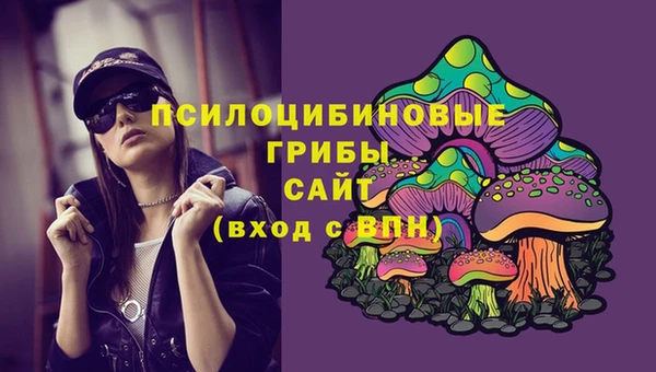 хмурый Каменск-Шахтинский