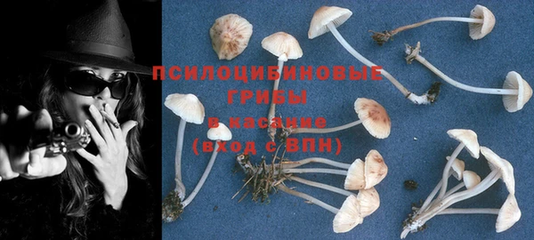 стафф Каменногорск