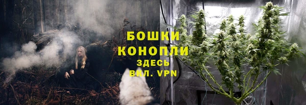 стафф Каменногорск