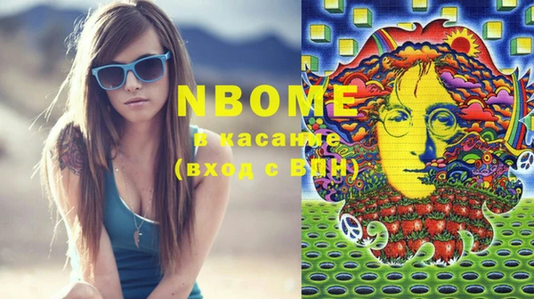 дурь Каменка