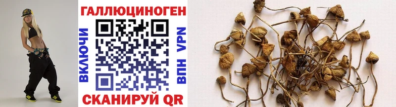 Псилоцибиновые грибы Cubensis  Купить где  Аткарск 